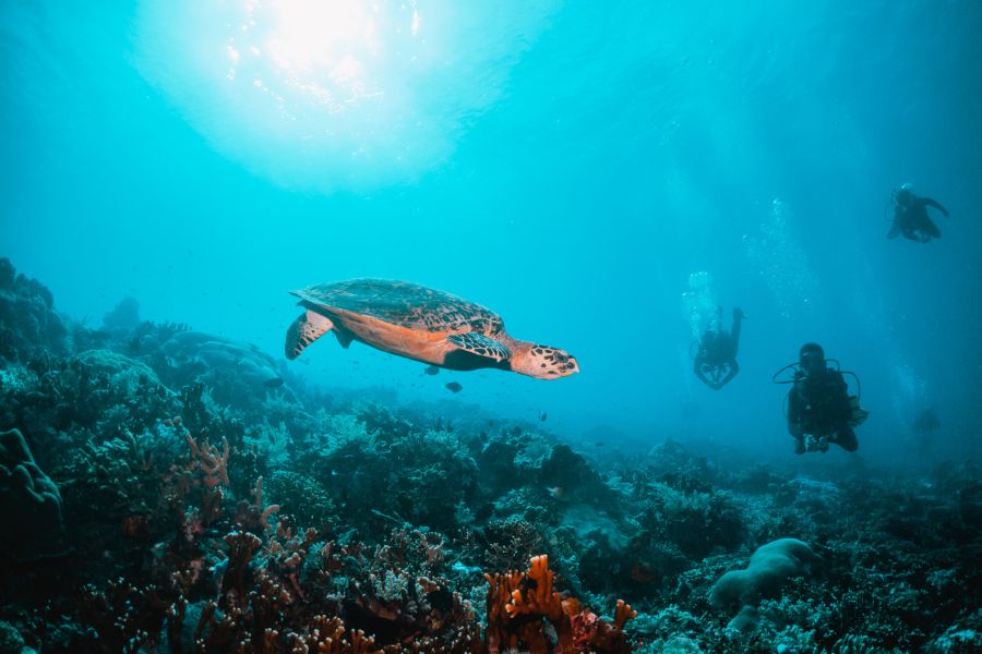 plongée sous marine à gili trawangan min