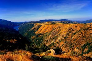 incontournables cévennes