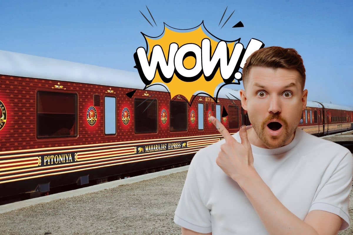 Expérience inoubliable à bord d'un train de luxe en Inde