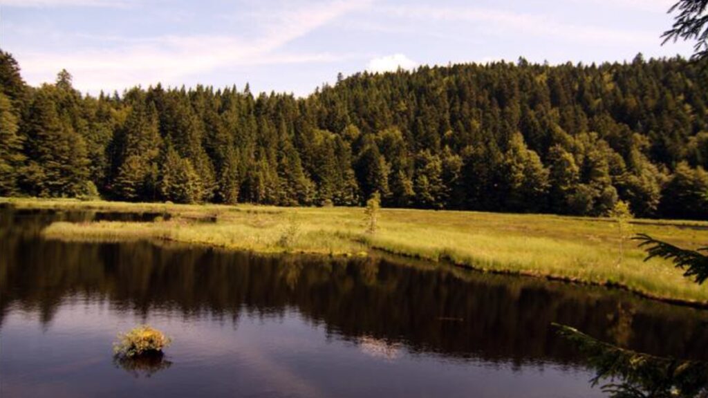 Ce lac de Lispach