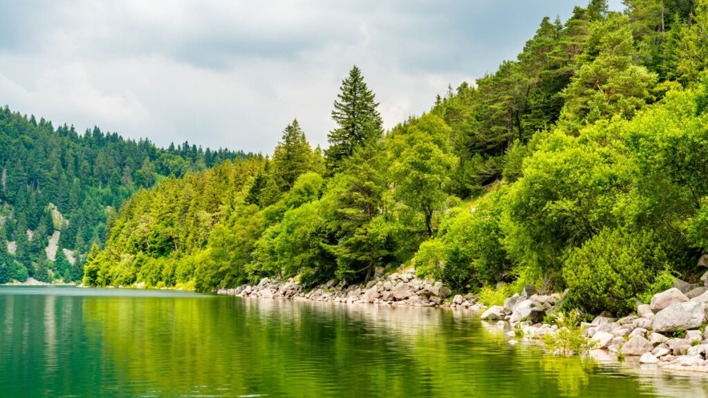 le Lac Blanc