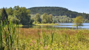 parc naturel régional du Morvan