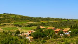 Haut-Languedoc