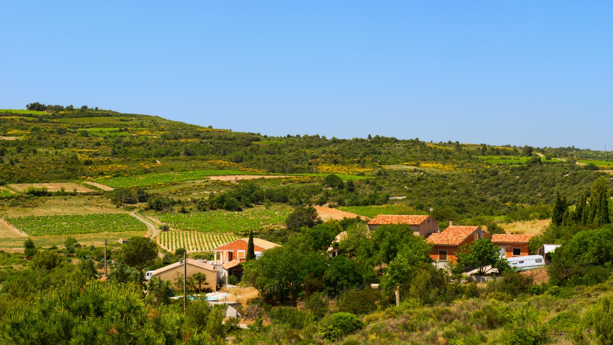 Haut-Languedoc