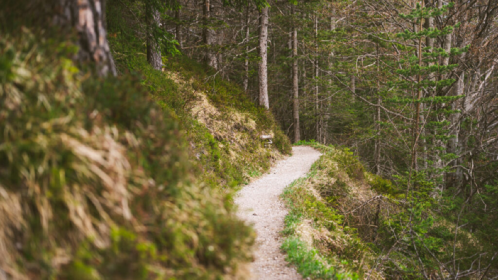 Stockholm sentier