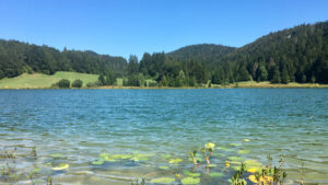 Un beau lac