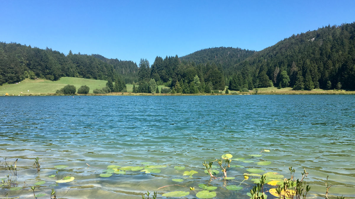 Un beau lac