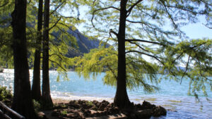 lac de Sède