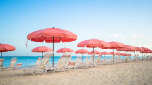 plage et drapeau lfi