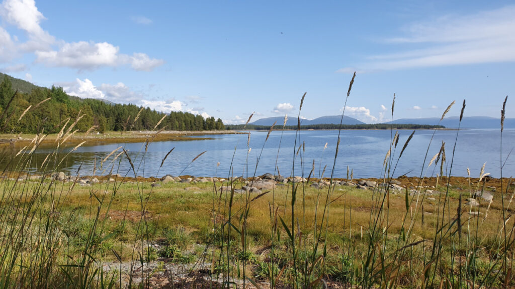 Le lac de la plaine à Celles-sur-Plaine