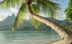 Les-incontournables-de-Martinique