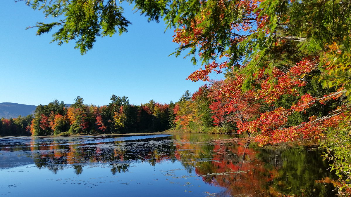 quebec automne